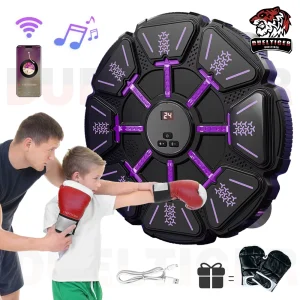 Bluetooth Wall Mounted Boxing Target Punching Equipment